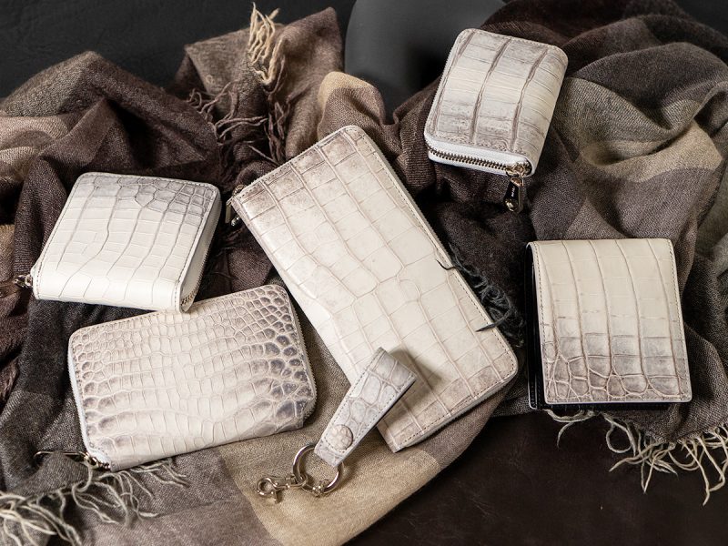 ヒマラヤクロコダイル シリーズ